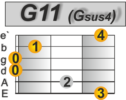 STS Gitarre G11