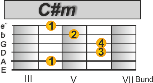 You got it Gitarre Cm